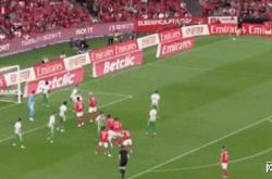 爱游戏入口 -本菲卡发布备战花絮；窗口期远射贴柱；法国杯任务艰巨；医务组通报恢复(阿维斯对本菲卡)